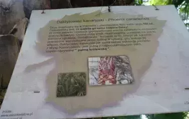 Wycieczka do Wrocławia i w G&oacute;ry Stołowe 43