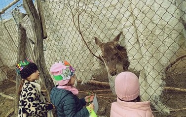 Pierwszy dzień wiosny 15