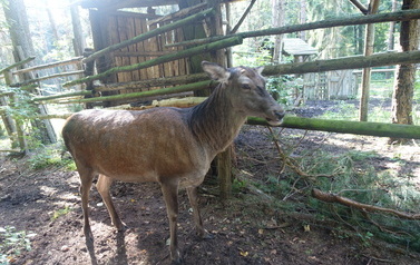 W krainie przyrody i mazurskich przyg&oacute;d &ndash; wycieczka do KUMAKA, Kadzidłowa i Mikołajek 3