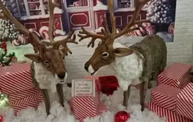 Wycieczka do Krainy Św. Mikołaja do Pięknej G&oacute;ry koło Giżycka 22