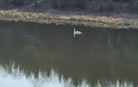 I dzień wiosny 2025 3