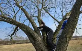 I dzień wiosny 2025 5