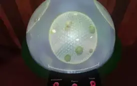 Wyjazd edukacyjny na Litwę i Podlasie  1