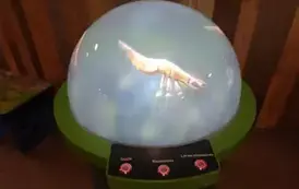 Wyjazd edukacyjny na Litwę i Podlasie  2