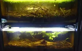 Wyjazd edukacyjny na Litwę i Podlasie  3