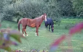 Wyjazd edukacyjny na Litwę i Podlasie  68