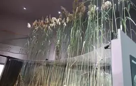 Wyjazd edukacyjny na Litwę i Podlasie  113