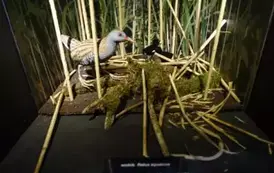 Wyjazd edukacyjny na Litwę i Podlasie  115