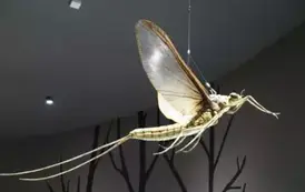 Wyjazd edukacyjny na Litwę i Podlasie  116