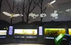 Wyjazd edukacyjny na Litwę i Podlasie  118