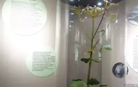 Wyjazd edukacyjny na Litwę i Podlasie  119