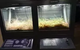 Wyjazd edukacyjny na Litwę i Podlasie  122