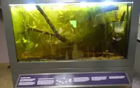 Wyjazd edukacyjny na Litwę i Podlasie  123