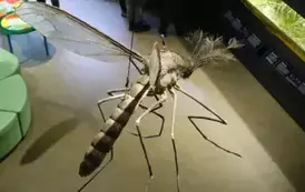 Wyjazd edukacyjny na Litwę i Podlasie  130